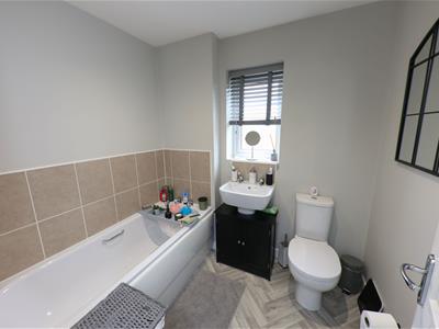 Picture 17